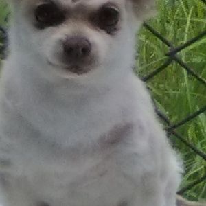 Meet your Posher, Hollie